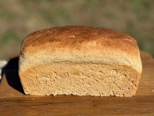 Easiest Fresh-Milled Flour Bread | No Knead, No Mixer, Beginner Friendly Batter Bread