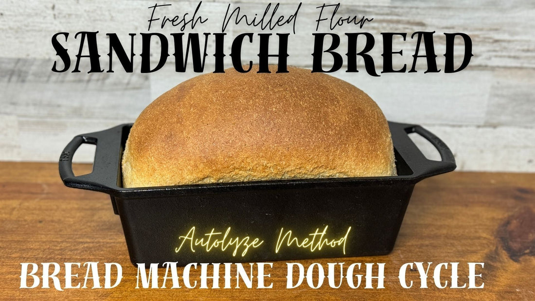 Bread Machine Dough Cycle Fresh Milled Flour Soft Fluffy Sandwich Bread Recipe Honey Wheat