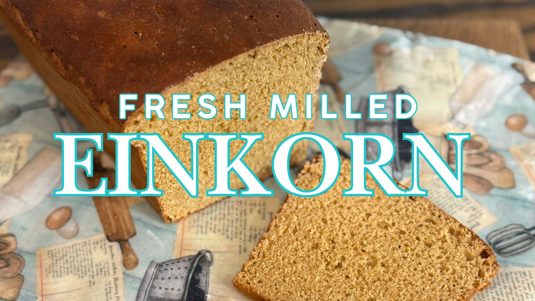 Fresh Milled 100% Einkorn Bread Recipe
