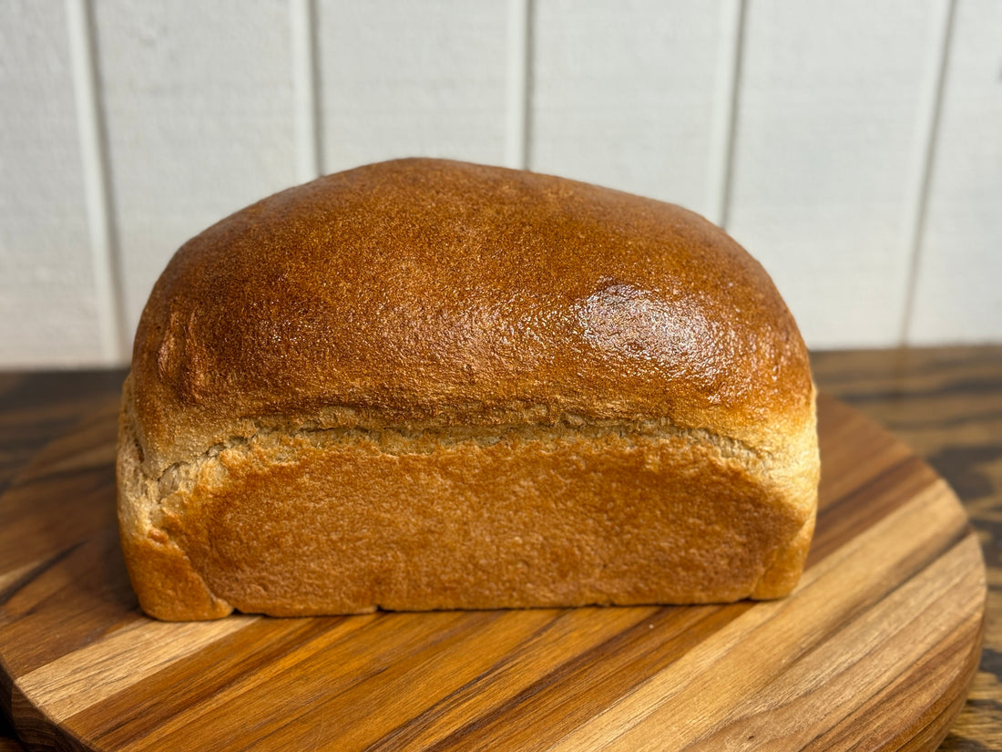 5-Ingredient Fresh Milled Flour Honey Whole Wheat Bread NO BUTTER, OIL, EGGS, or ADDITIVES!