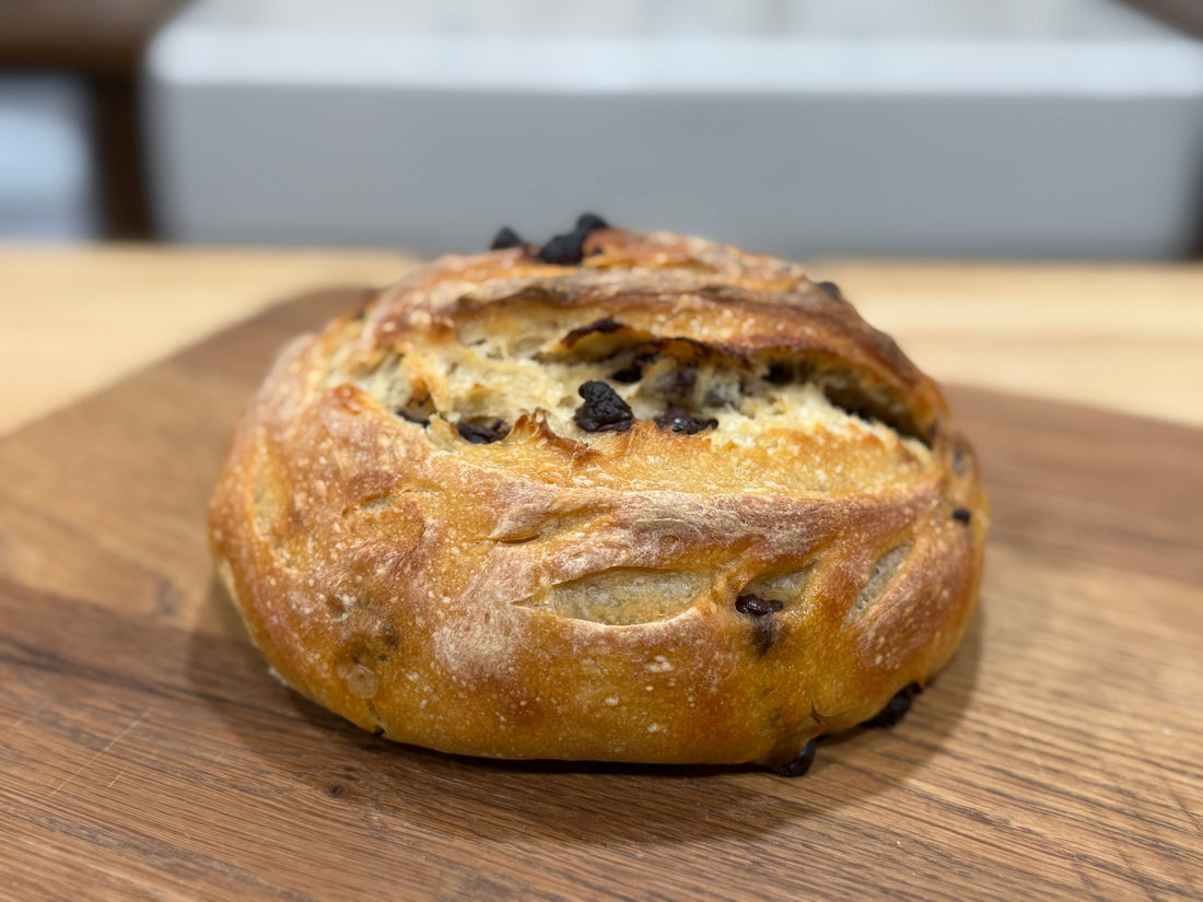 Easy Same-Day Chocolate Chip Sourdough Bread | Beginner-Friendly No-Fuss Recipe