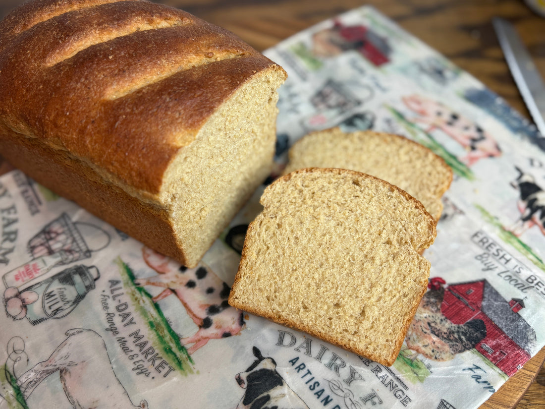 Fresh Milled Whole Wheat Greek Yogurt Sandwich Bread (Stand Mixer)
