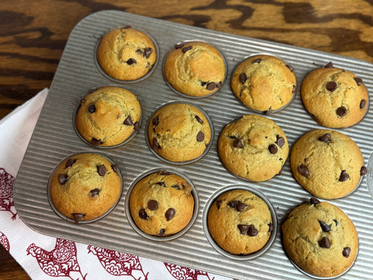 Sourdough Discard Chocolate Chip Muffins