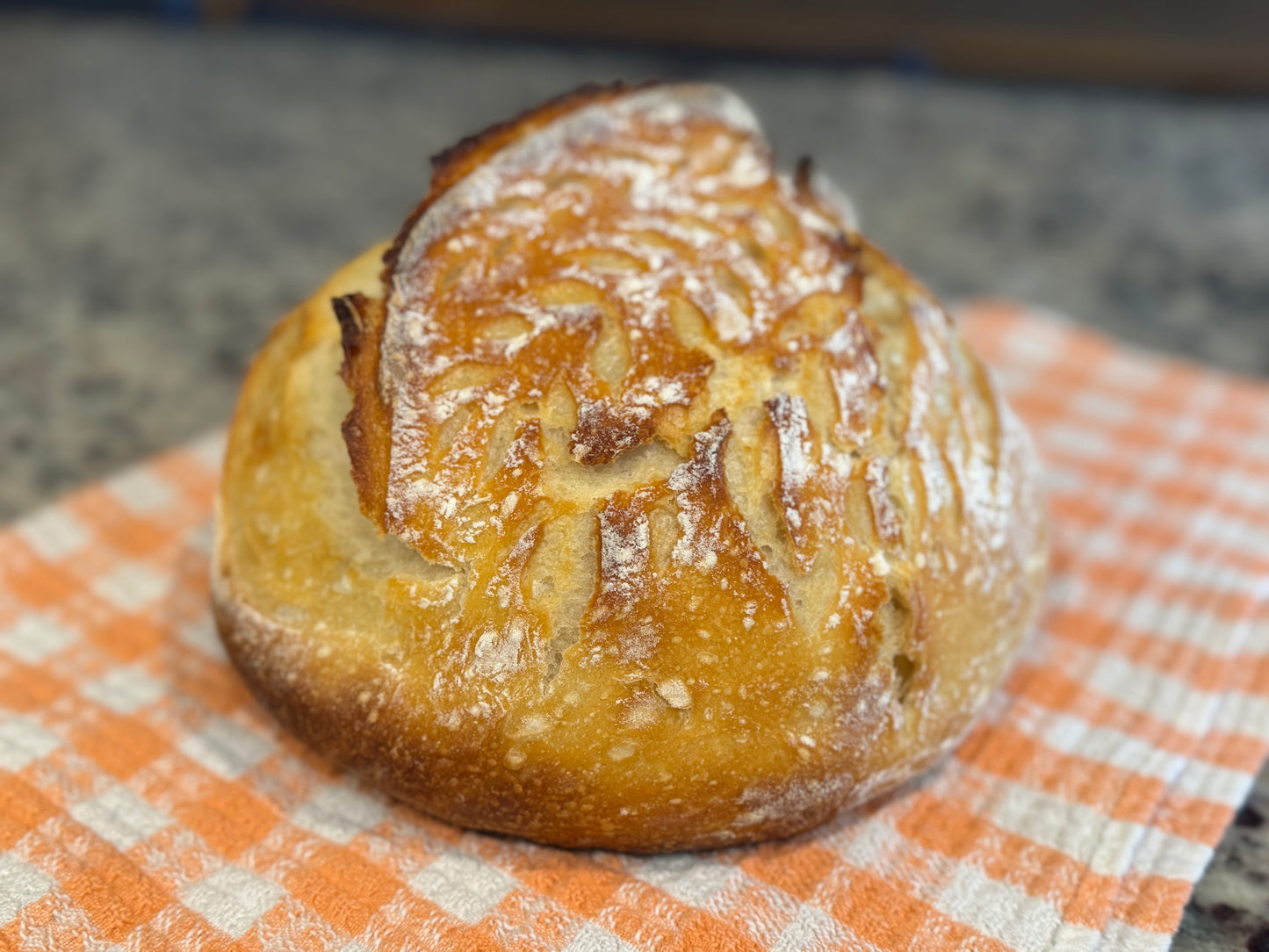 Freeze-Dried Sourdough Starter