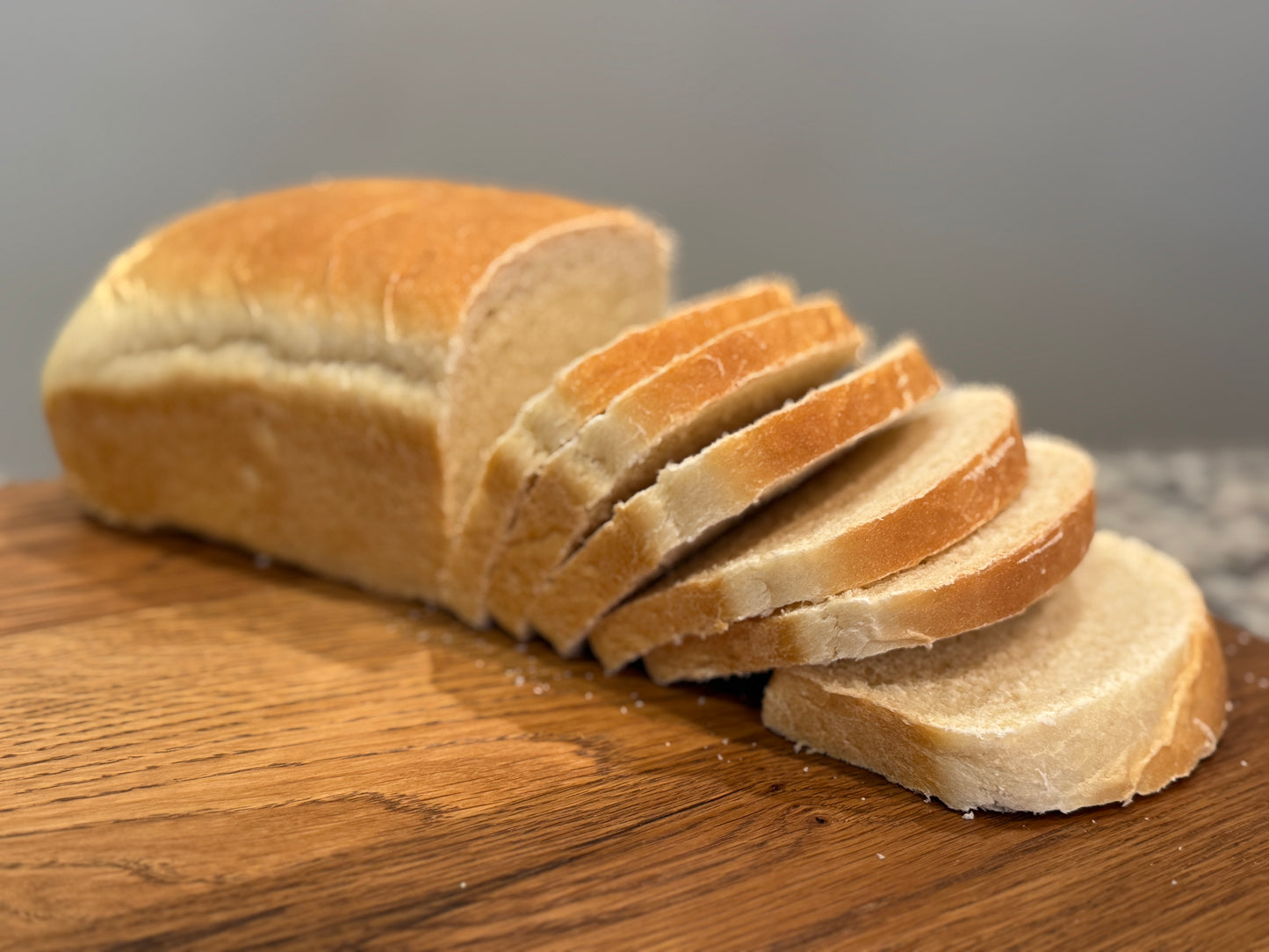 Freeze-Dried Sourdough Starter