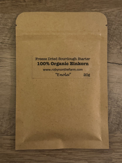 Freeze-Dried Sourdough Starter